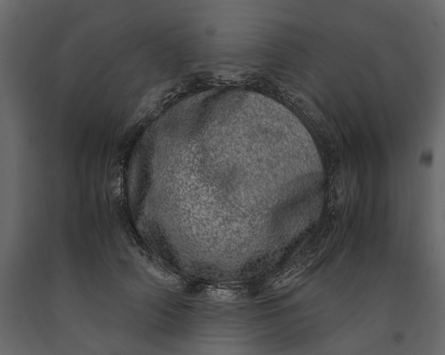 X0000091100706200708271316