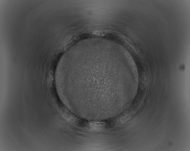 X0000091100707200708271316