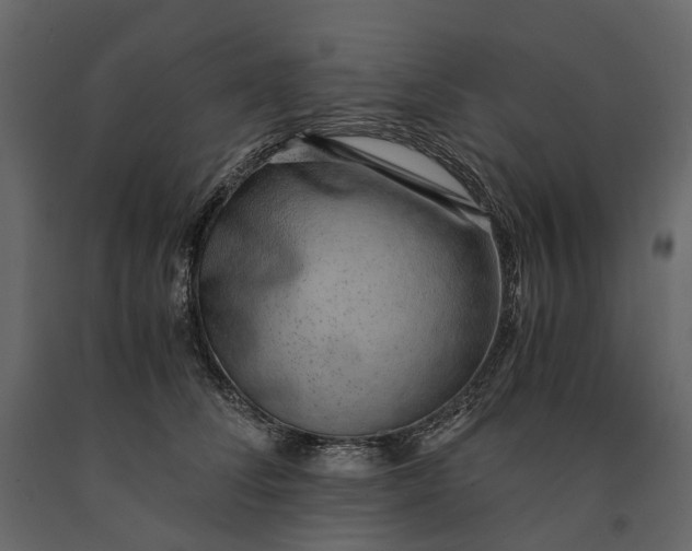 X0000091100708200708271316