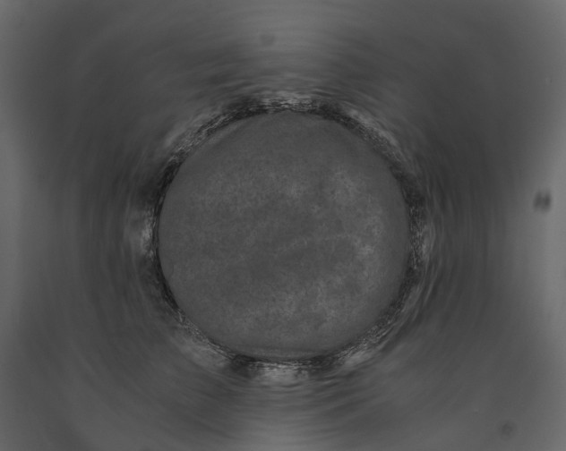 X0000091100709200708271316