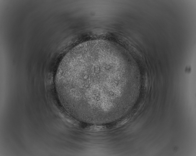 X0000091100711200708271316