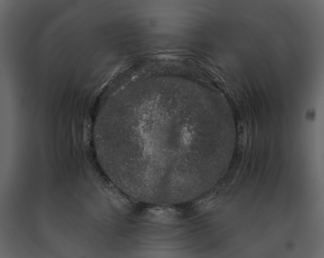 X0000091100712200708271316