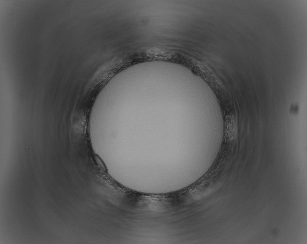 X0000091100713200708271316