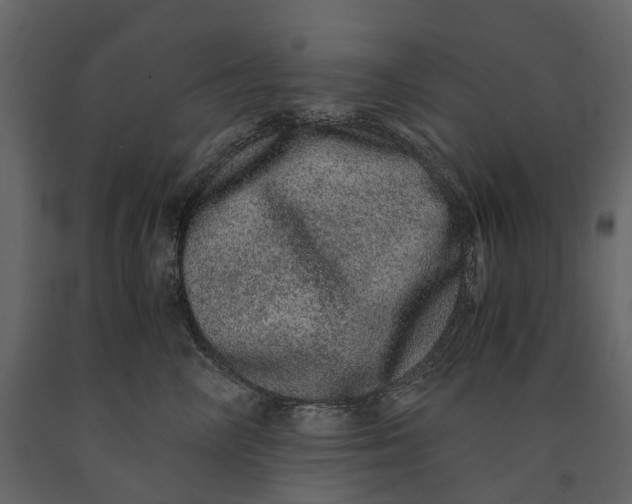 X0000091100714200708271316