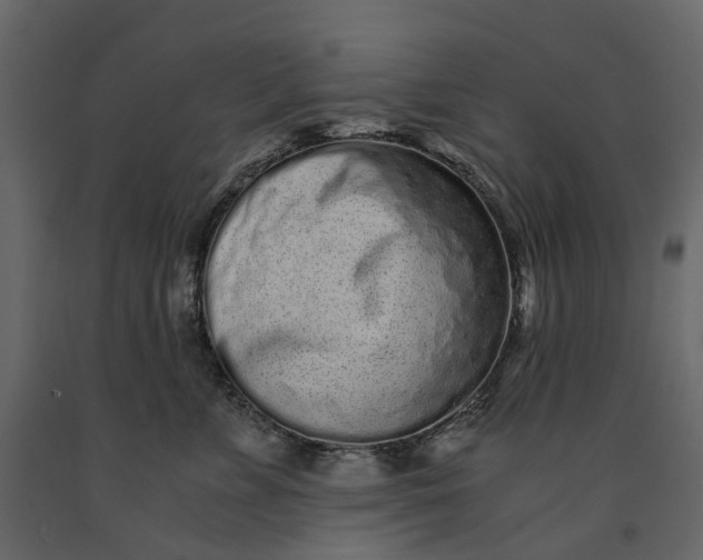 X0000091100715200708271316