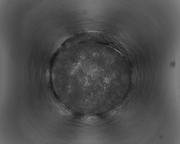 X0000091100716200708271316