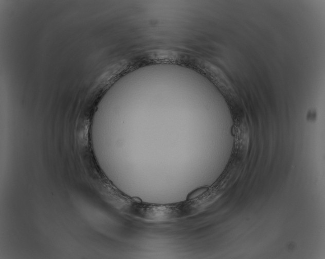 X0000091100717200708271316