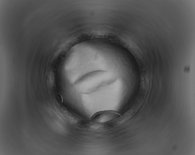 X0000091100718200708271316