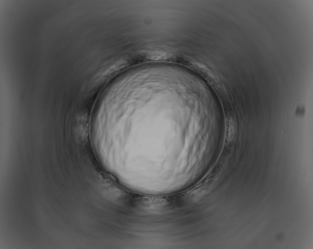 X0000091100719200708271316