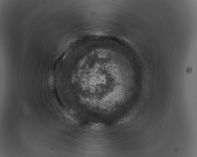 X0000091100720200708271316