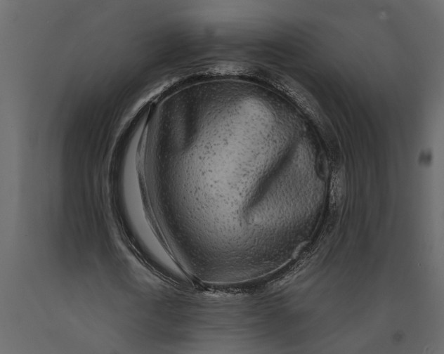 X0000091100722200708271316