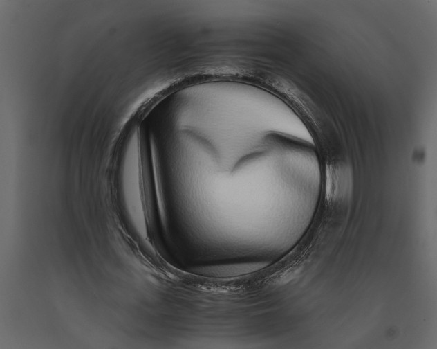 X0000091100723200708271316