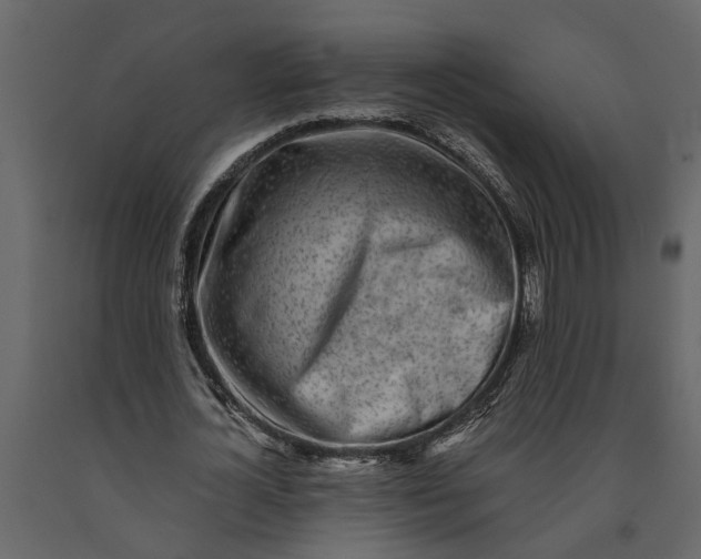 X0000091100724200708271316