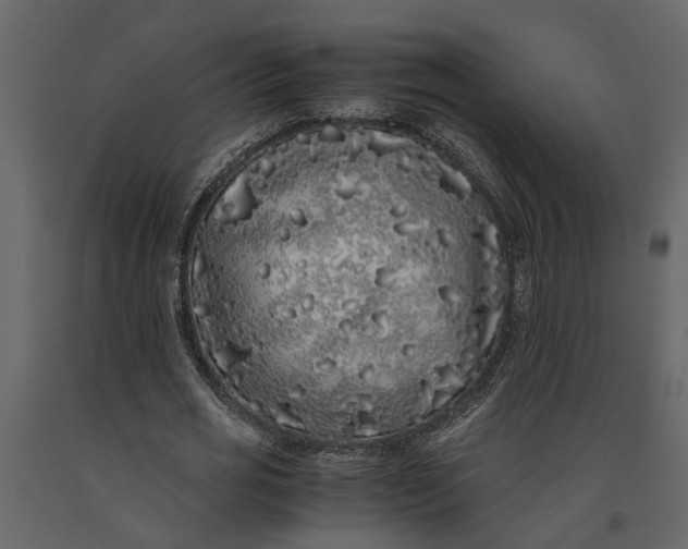 X0000091100725200708271316