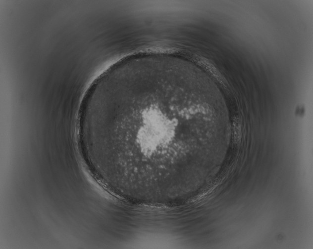 X0000091100726200708271316