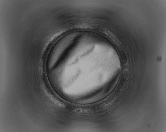 X0000091100727200708271316