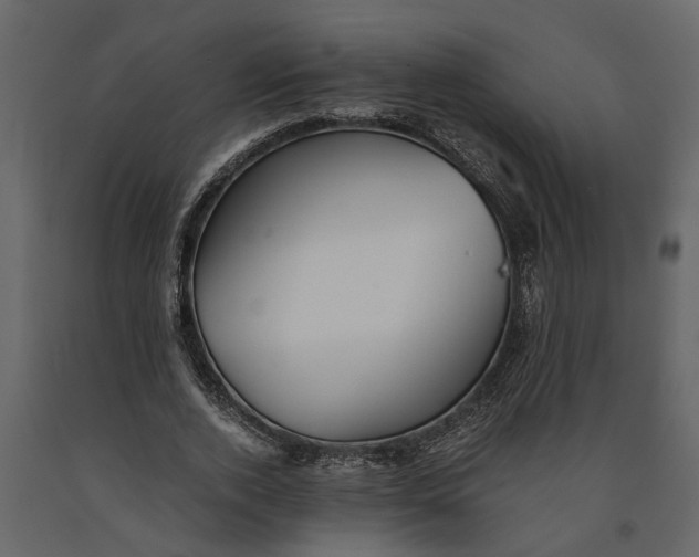 X0000091100728200708271316