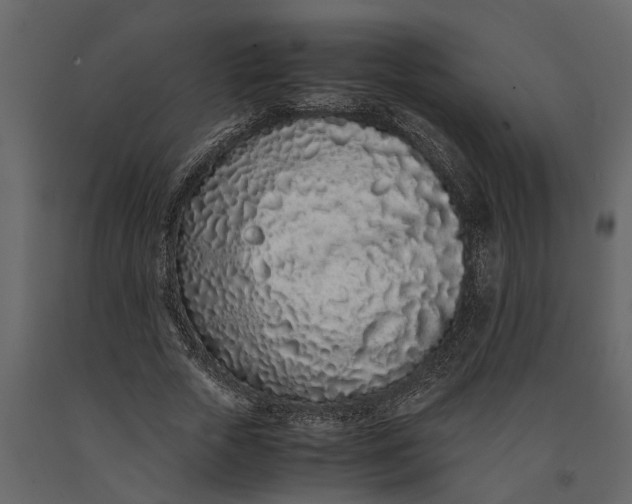 X0000091100729200708271316