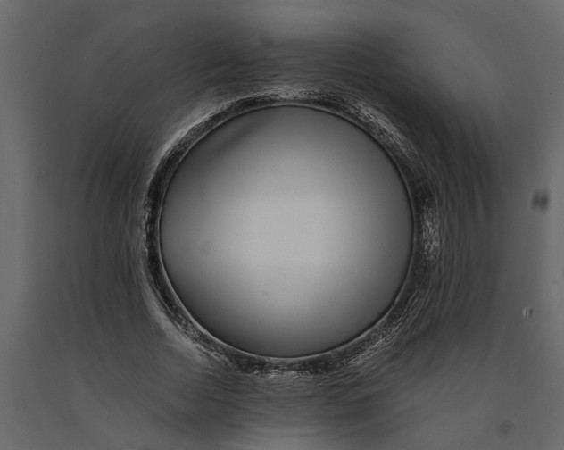 X0000091100730200708271316