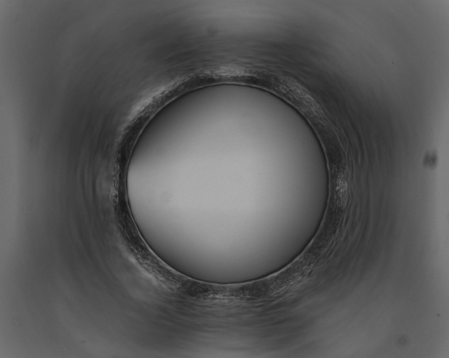 X0000091100732200708271316