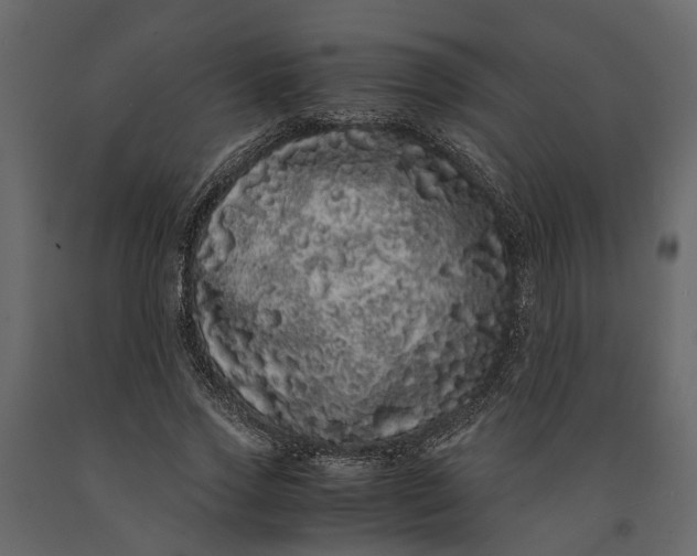 X0000091100733200708271316