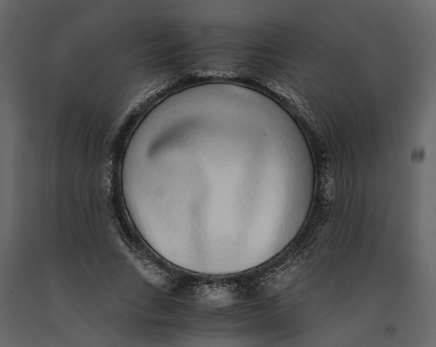 X0000091100735200708271316