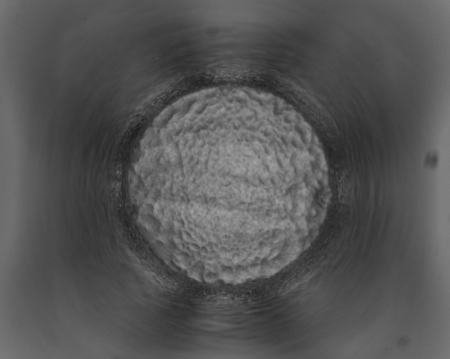 X0000091100737200708271316