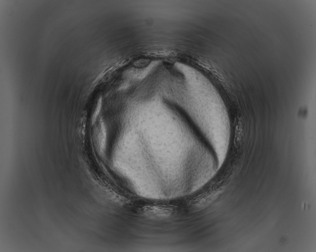 X0000091100739200708271316