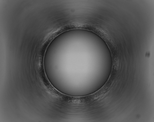 X0000091100740200708271316