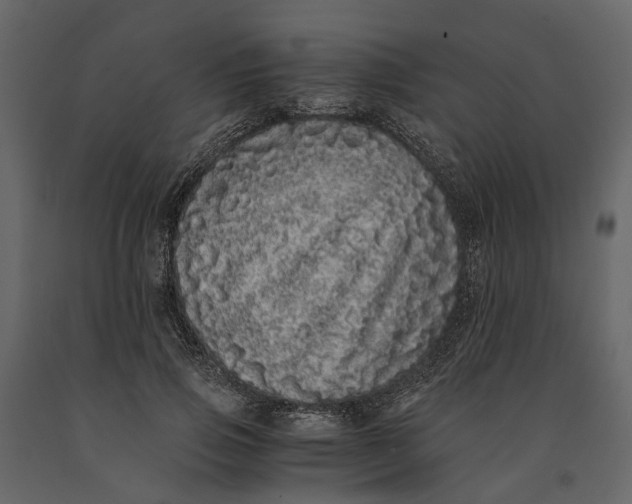 X0000091100741200708271316