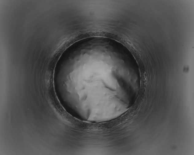 X0000091100742200708271316