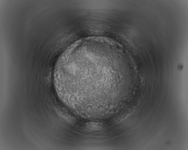 X0000091100745200708271316