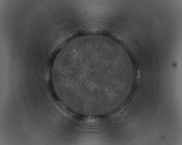 X0000091100746200708271316