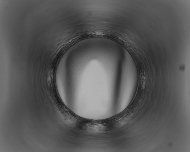 X0000091100747200708271316