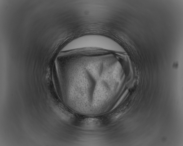 X0000091100748200708271316