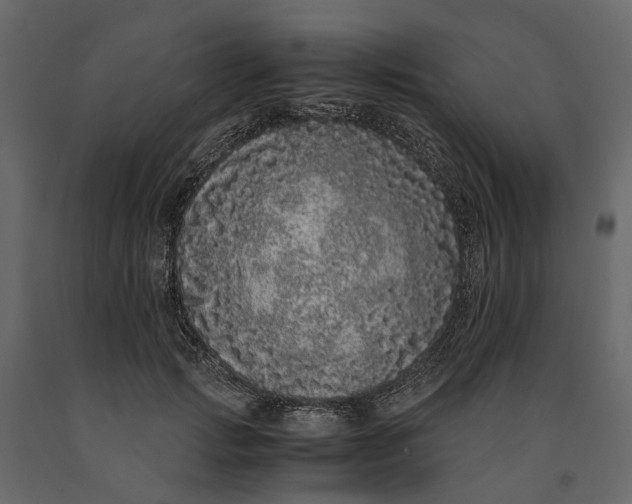 X0000091100749200708271316