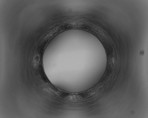 X0000091100752200708271316