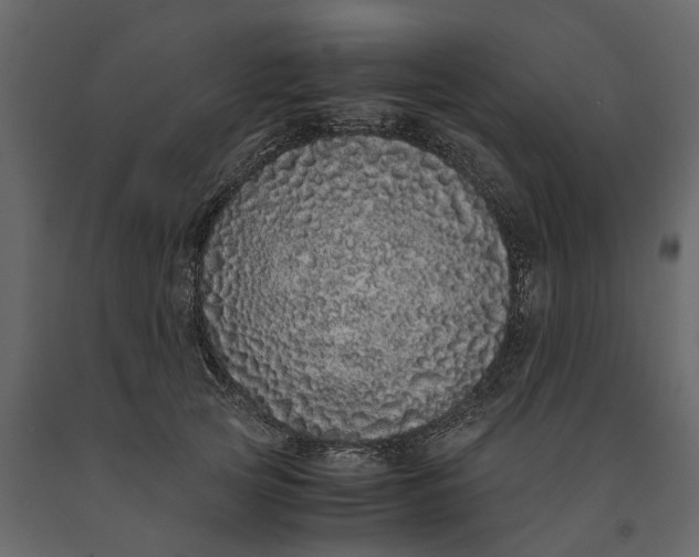 X0000091100753200708271316