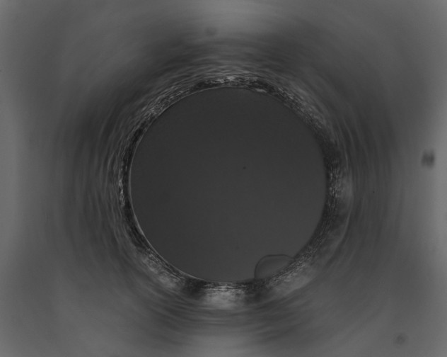 X0000091100754200708271316