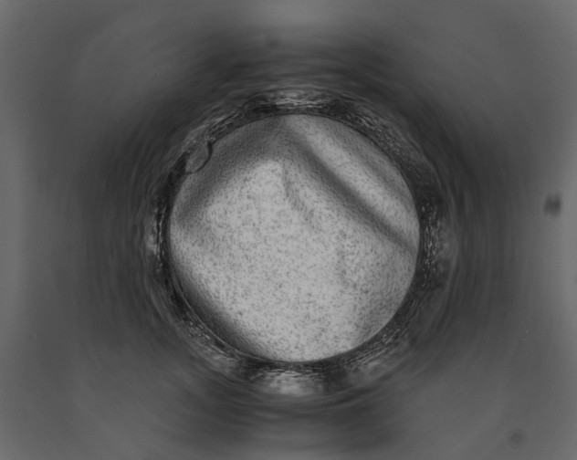 X0000091100755200708271316