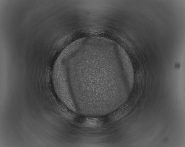 X0000091100757200708271316