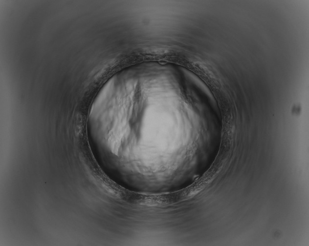 X0000091100758200708271316