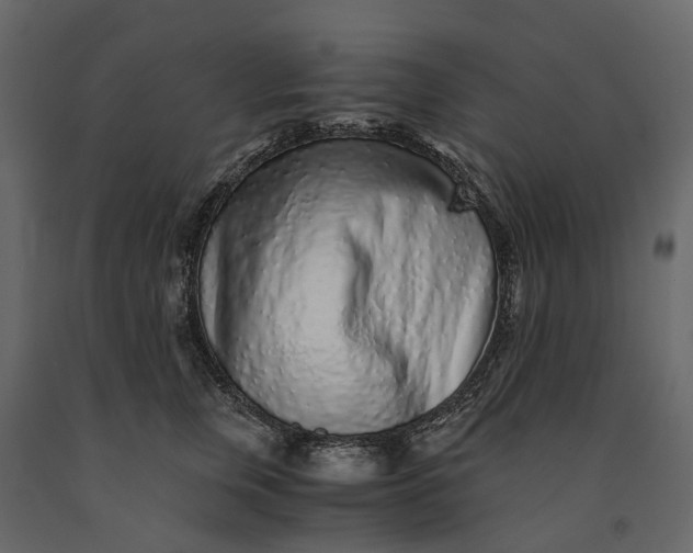 X0000091100759200708271316