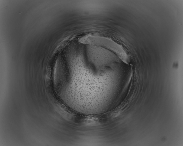 X0000091100760200708271316