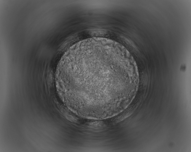 X0000091100761200708271316