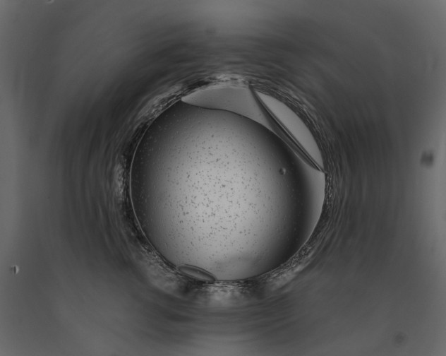 X0000091100762200708271316