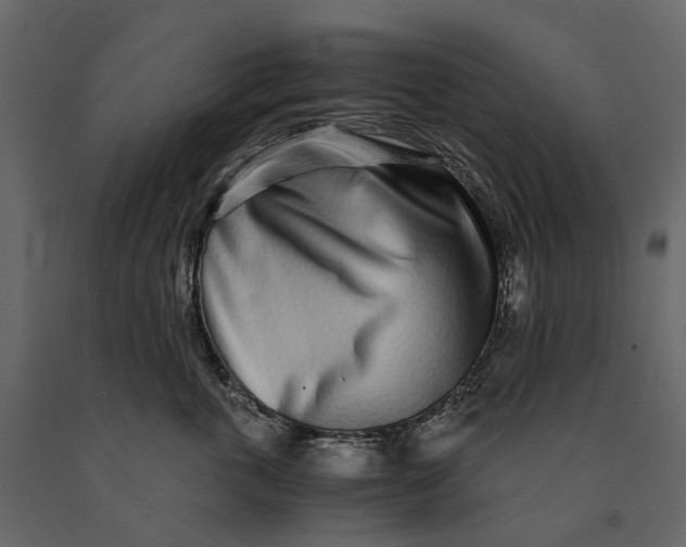 X0000091100763200708271316