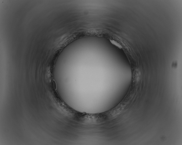 X0000091100764200708271316