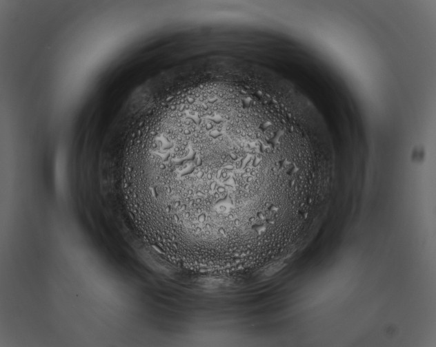 X0000091100765200708271316