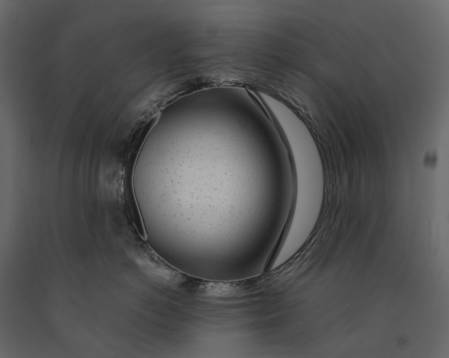 X0000091100766200708271316